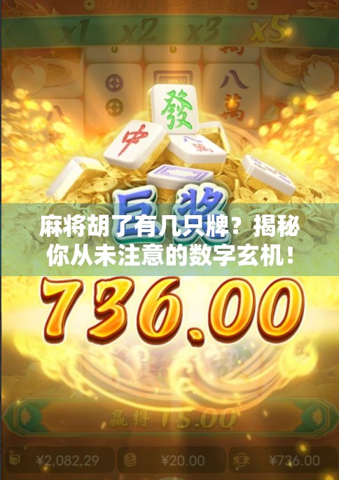 麻将胡了有几只牌？揭秘你从未注意的数字玄机！