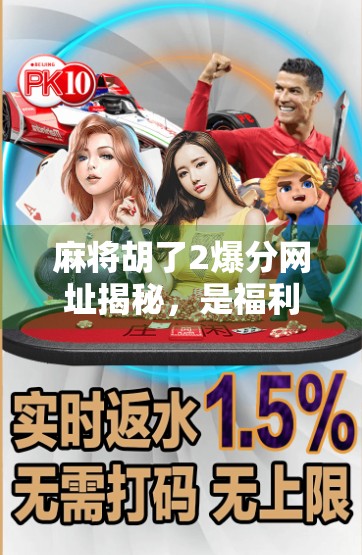 麻将胡了2爆分网址揭秘，是福利还是陷阱？新手必看避坑指南！