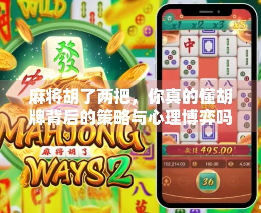 麻将胡了两把，你真的懂胡牌背后的策略与心理博弈吗？