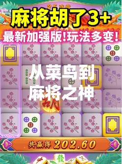 从菜鸟到麻将之神，我胡了21000次，才明白人生真正的牌局