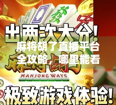 麻将胡了直播平台全攻略,哪里能看真人打麻将直播?新手必收藏! 麻将胡了直播平台全攻略,哪里能看真人打麻将直播?新手必收藏!