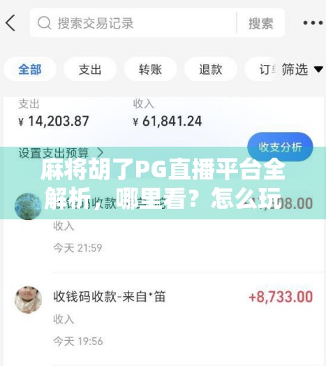 麻将胡了PG直播平台全解析，哪里看？怎么玩？一文带你玩转线上麻将新潮流！